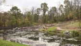 The Lotus Pond at Pittsburgh Botanic Garden.  (Photo:  Ben Filio, Tribune Review)