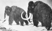 Mammoths roamed what is now known as North Dakota during the Pleistocene Epoch, more commonly known as the Ice Age.